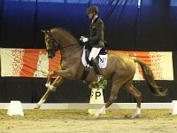 Chagall D-R 201113_1420